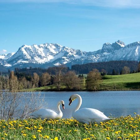 Direkt Am See Mit Bergblick سيغ المظهر الخارجي الصورة