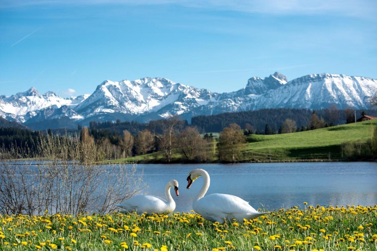 Direkt Am See Mit Bergblick سيغ المظهر الخارجي الصورة